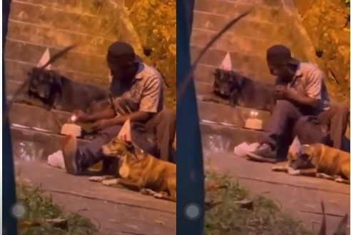 morador de rua comemora aniversário com cachorros