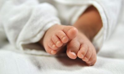 bebê