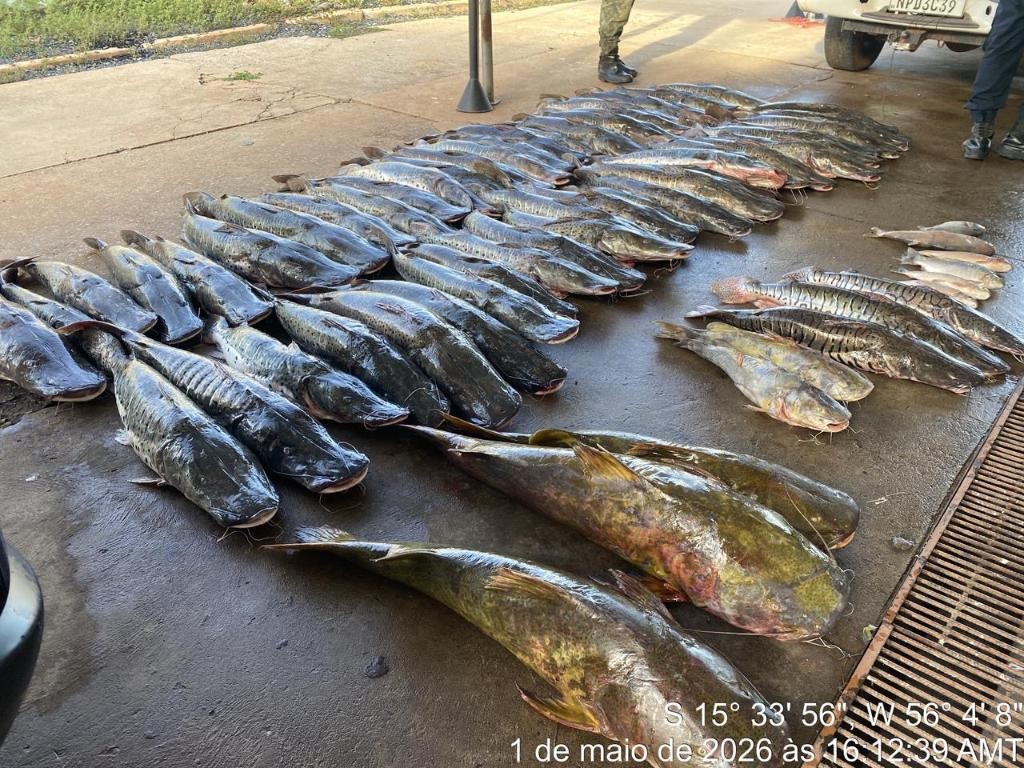 PM apreende 465 quilos de pescado ilegal e prende homem