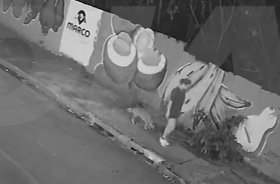 Vídeo: Jovem cai em bueiro após tampa ceder no bairro Quilombo