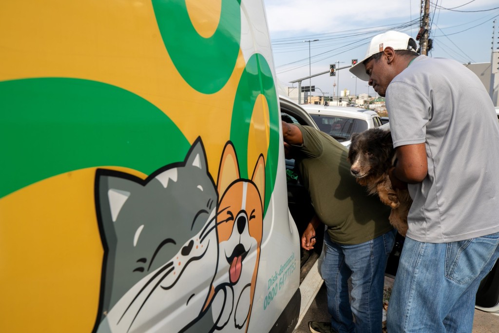 Prefeitura atende denúncia de maus-tratos e resgata animais em Cuiabá